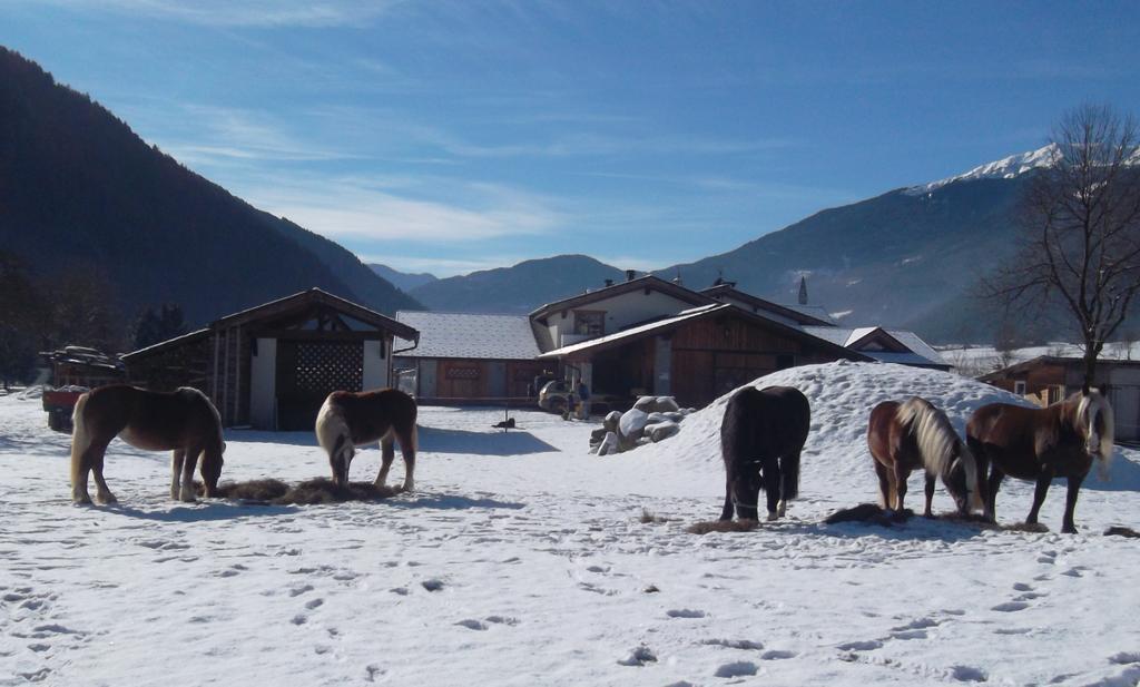 Agriturismo Maso Grisun Borzago 외부 사진