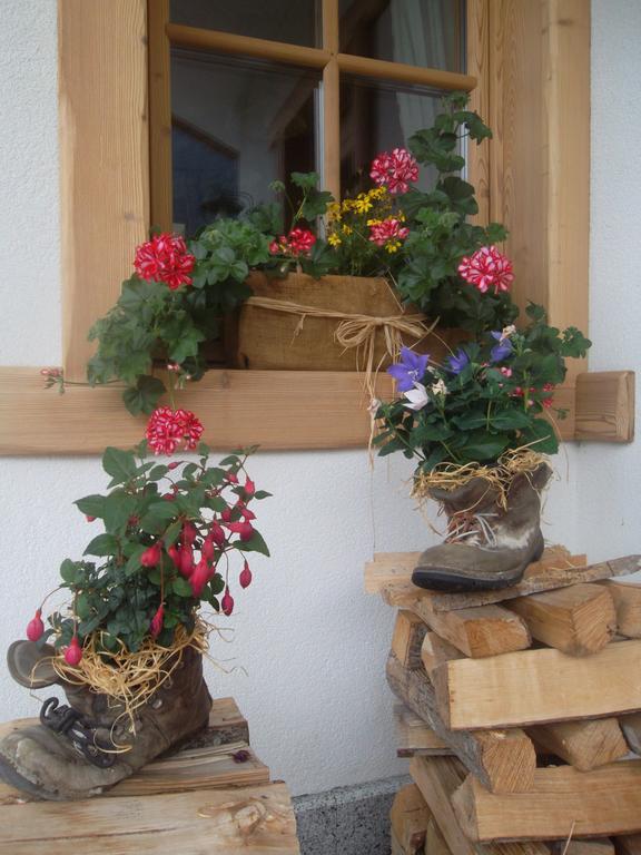 Agriturismo Maso Grisun Borzago 외부 사진