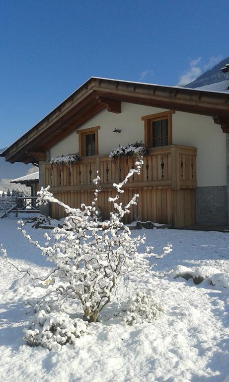 Agriturismo Maso Grisun Borzago 외부 사진