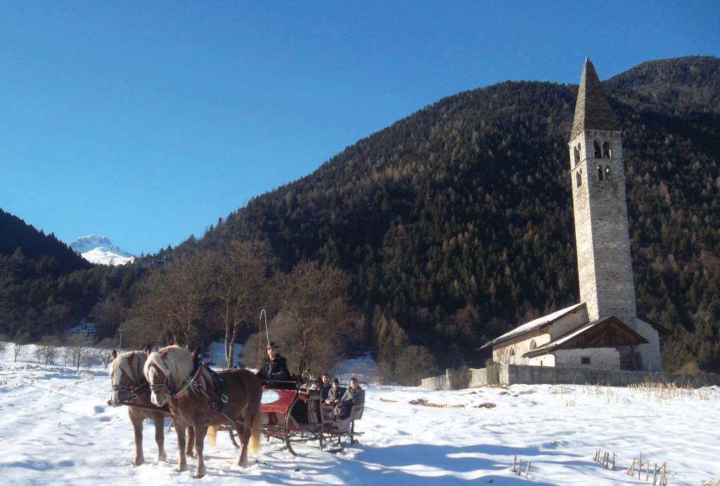 Agriturismo Maso Grisun Borzago 외부 사진
