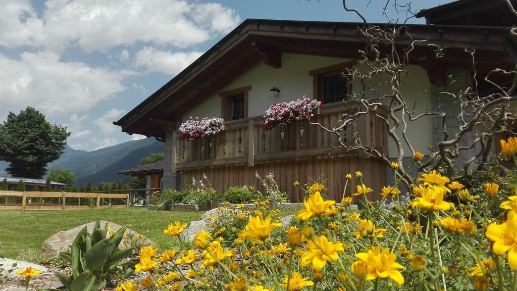 Agriturismo Maso Grisun Borzago 외부 사진