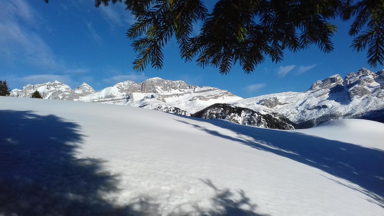 Agriturismo Maso Grisun Borzago 외부 사진