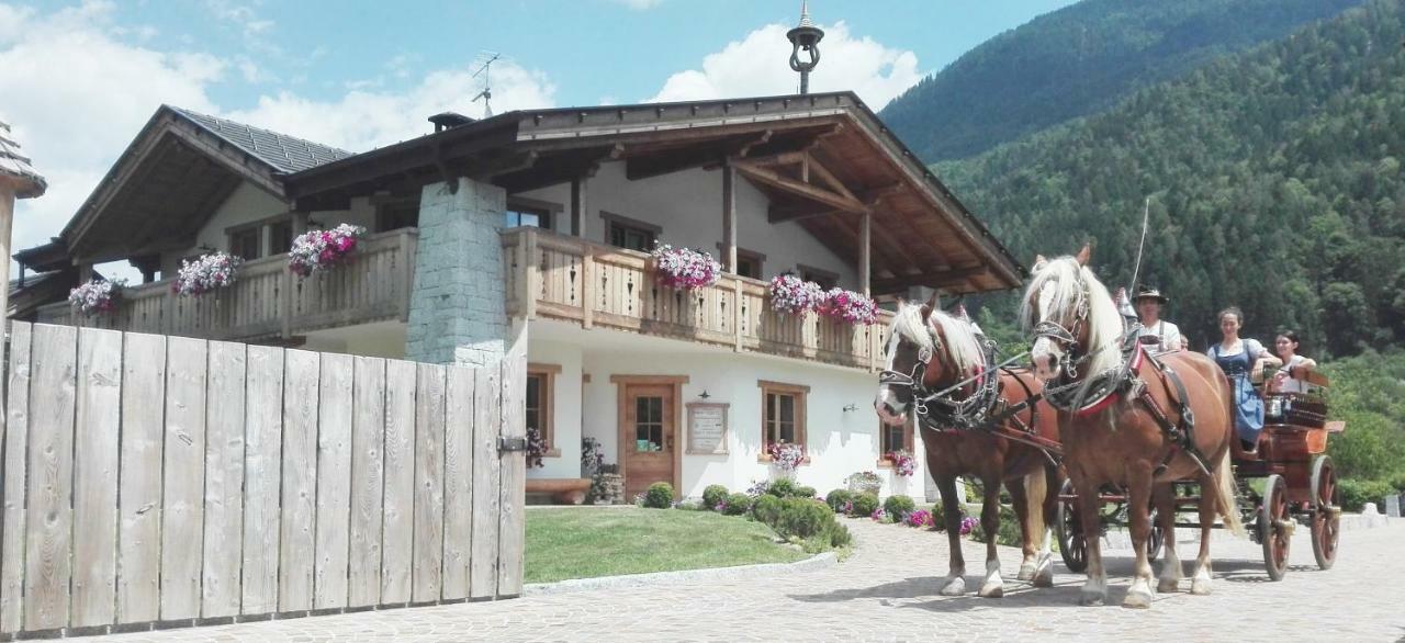 Agriturismo Maso Grisun Borzago 외부 사진